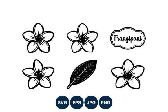 Frangipani Flower Line Art Vector: Elevating Modern Design with Timeless Elegance