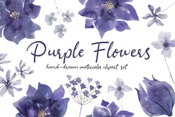 Purple Flowers Watercolor Hand-Drawn Set: An Evaluation